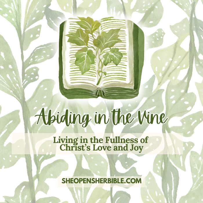 Abiding in the Vine: A Pathway to Transformed Living - Bible Lessons Guidebook