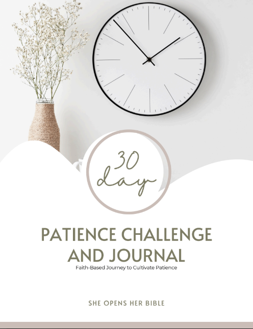 Seize the Day Bible Study Journal