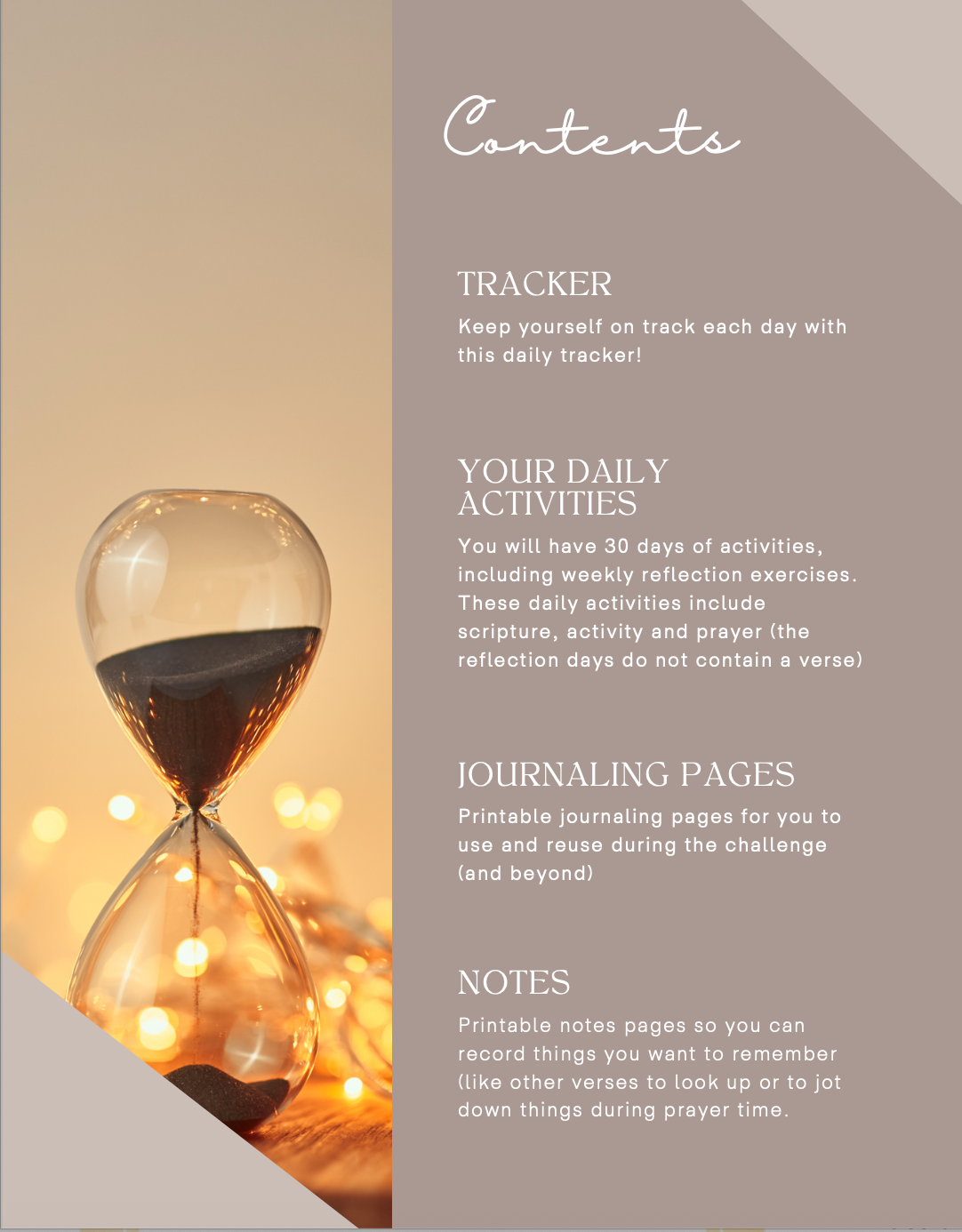 Seize the Day Bible Study Journal