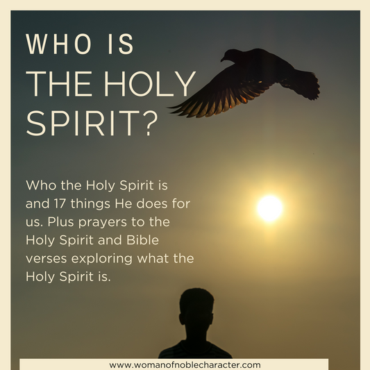 cover of Who is The Holy Spirit and What The Holy Spirit Does for Us eBook