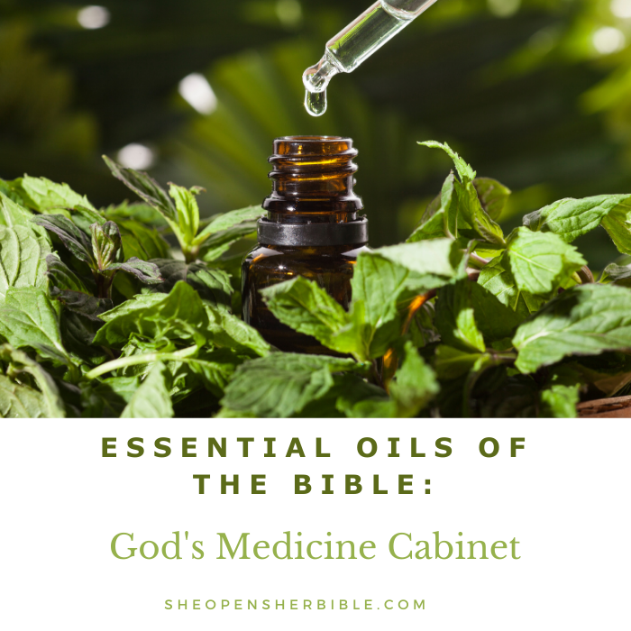 Essential Oils of the Bible eBook