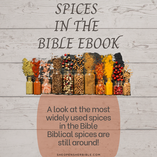The Ultimate Guide to Spices in the Bible (and Today) eBook
