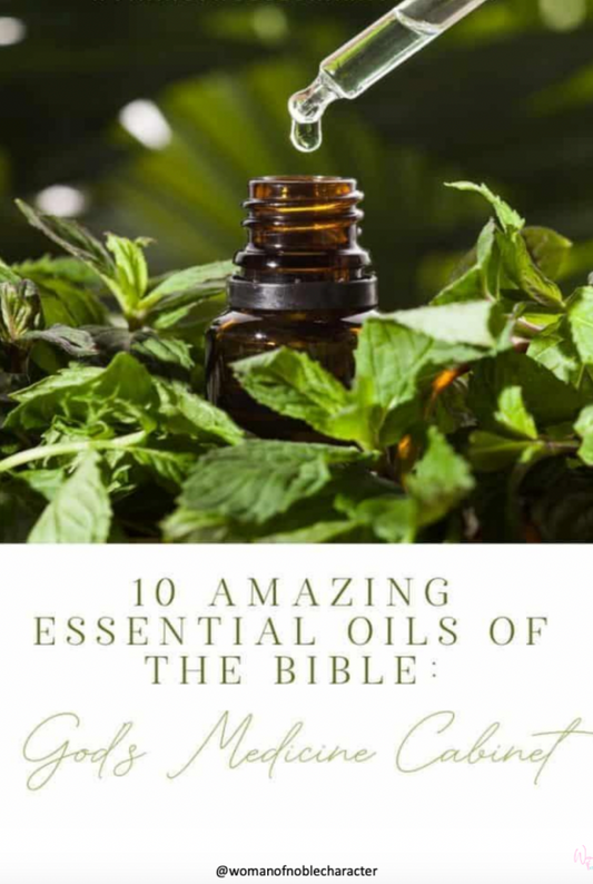 cover of essential oils in the Bible ebook