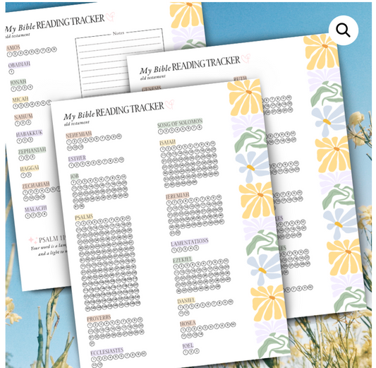 My Bible Reading Tracker – Old & New Testament Bundle