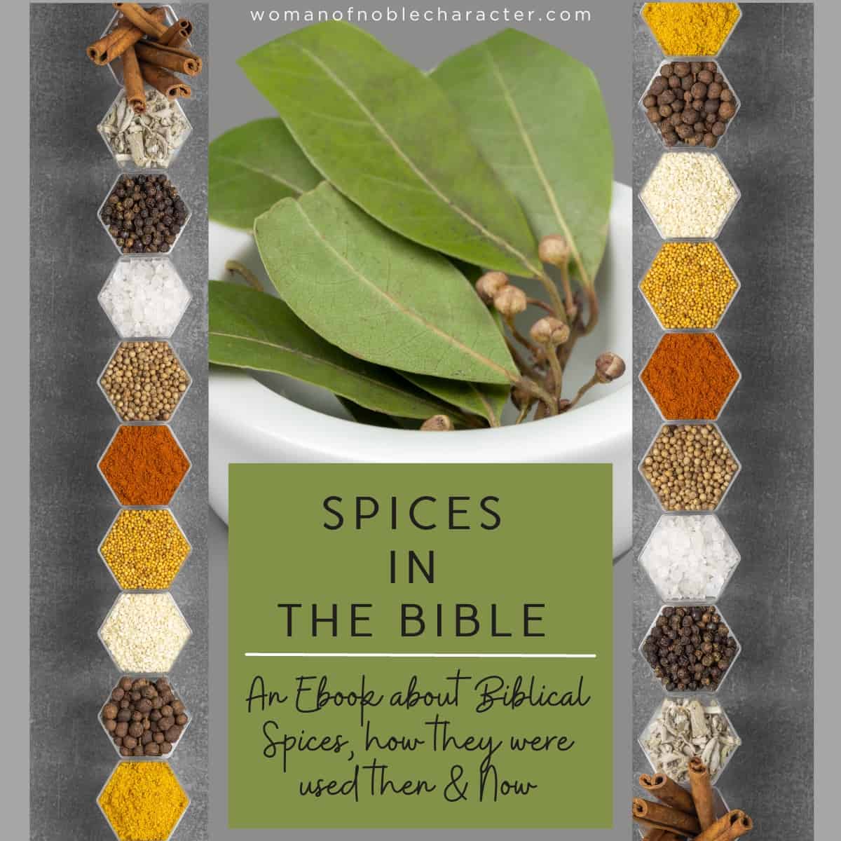 cover of The Ultimate Guide to Spices in the Bible (and Today) eBook