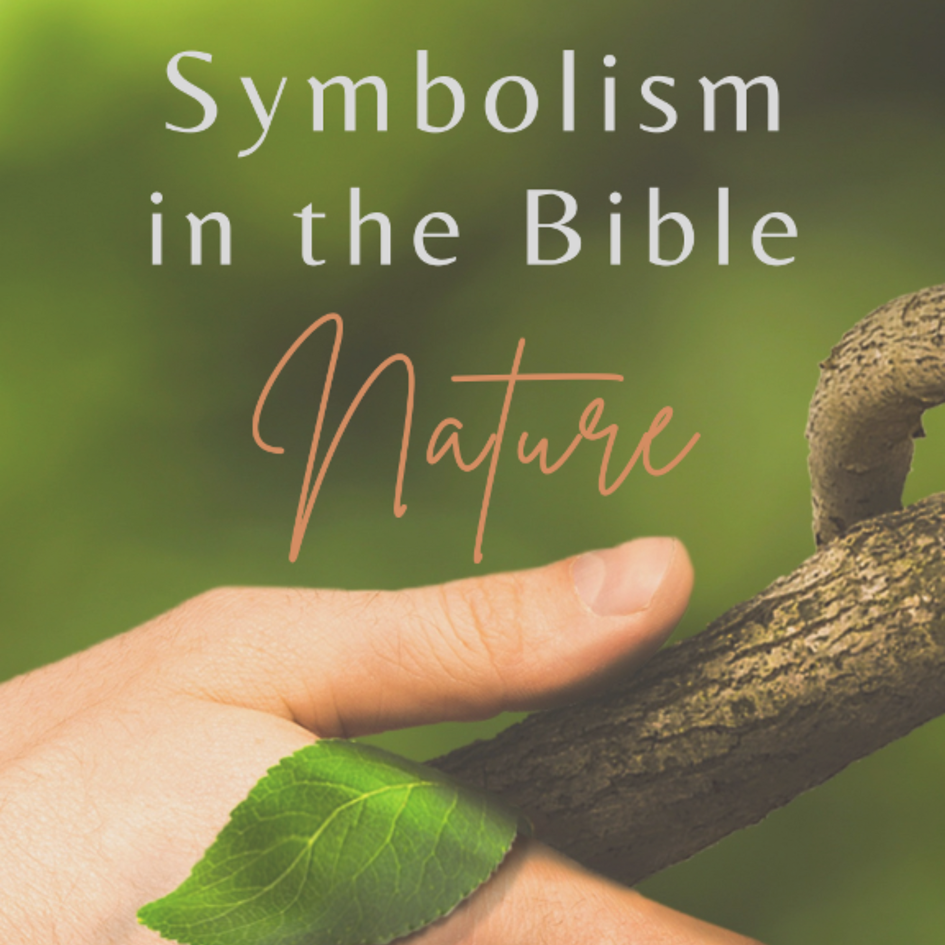 cover of Nature Symbolism in the Bible eBook