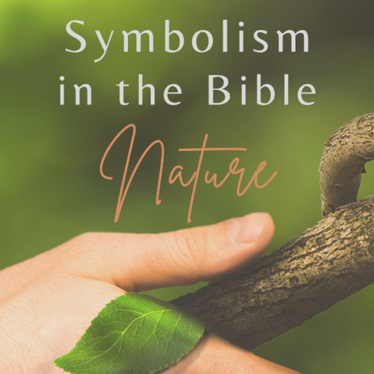 cover of Nature Symbolism in the Bible eBook